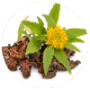 Rhodiola Rosea Extract…